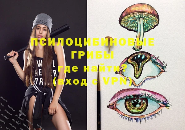 не бодяженный Бикин
