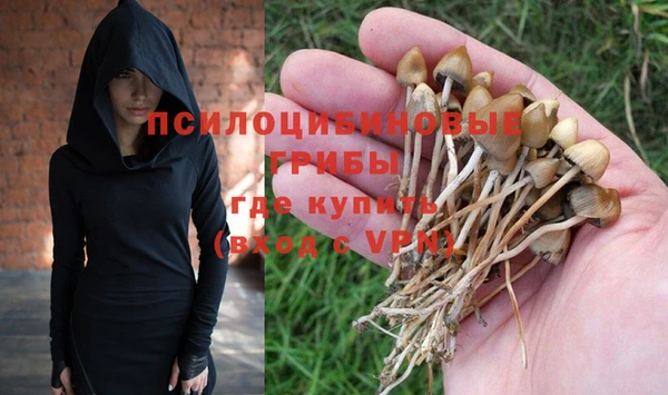 гашик Зеленодольск